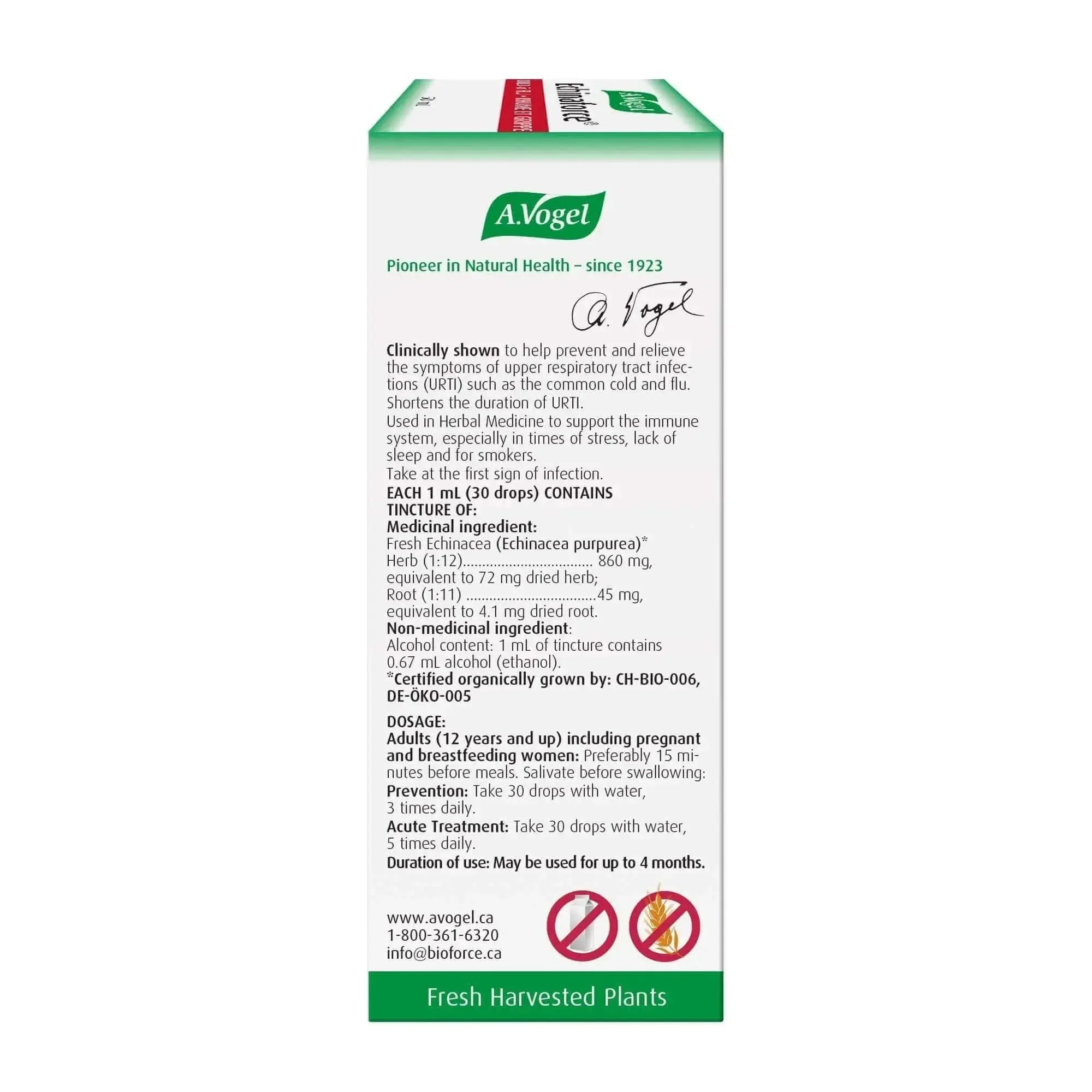 A. Vogel Echinaforce Liquid - Immune System Support - Image 3