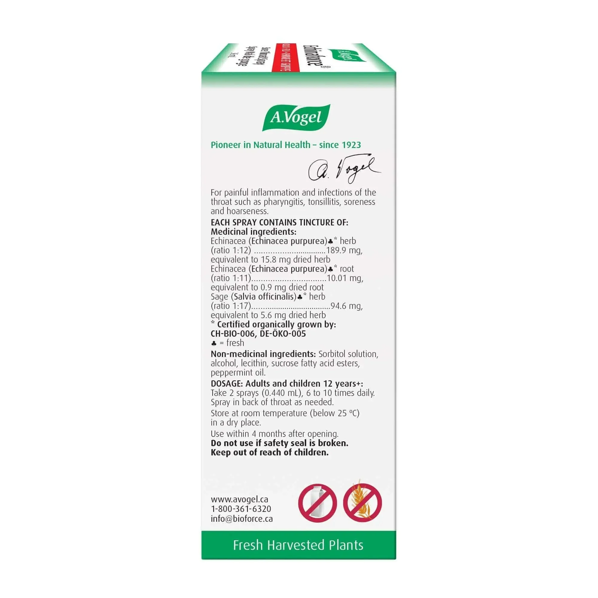 A. Vogel Echinaforce Sore Throat Spray Fast Acting Relief 30mL - Image 2