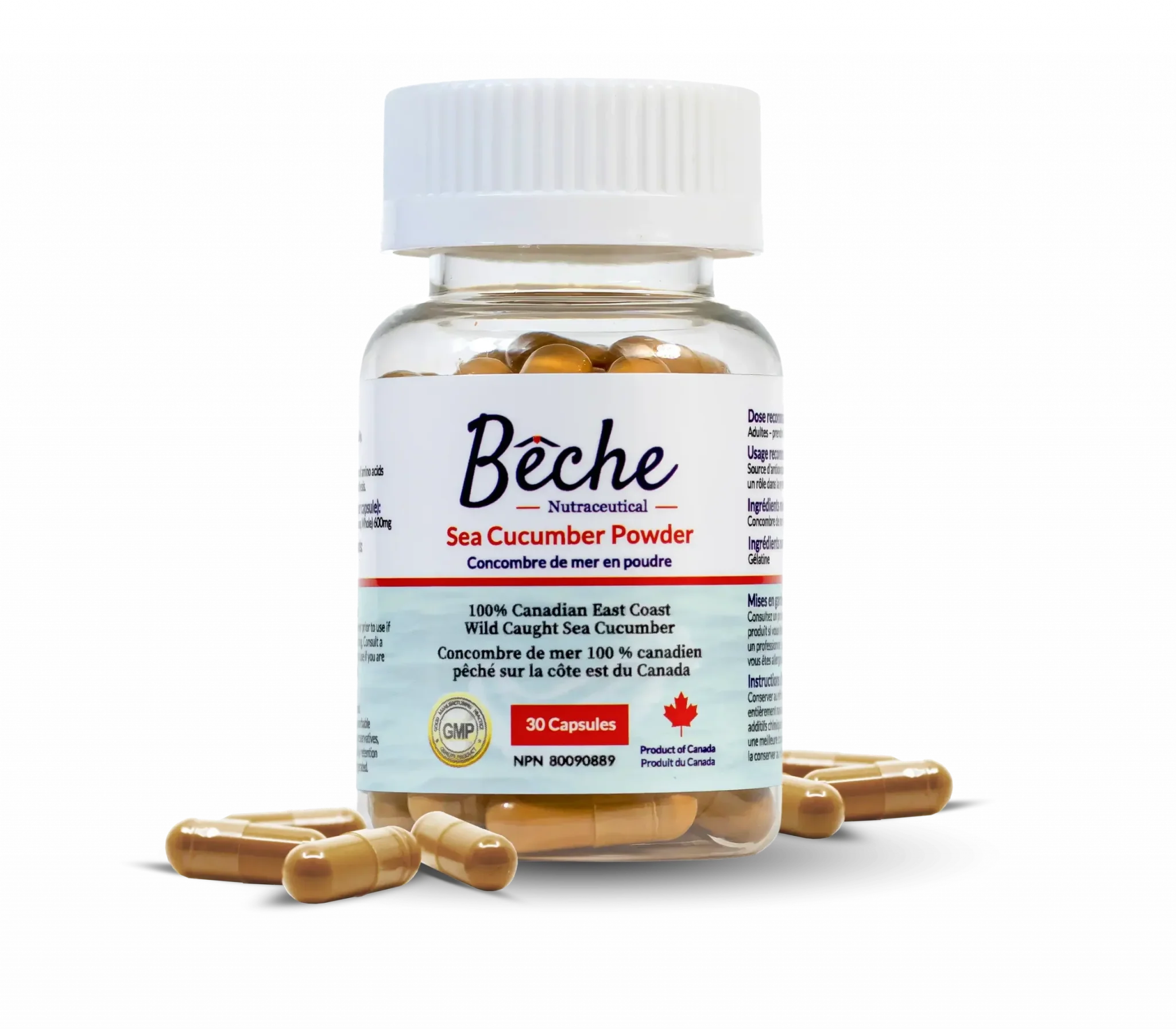 Bêche Sea Cucumber Powder Supplement 30 Capsules - Image 2