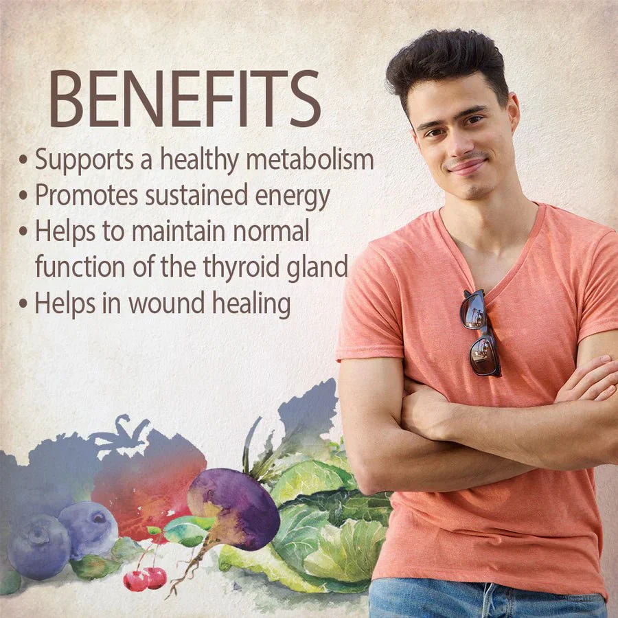 Garden Of Life Organics Men’s Once Daily 30 Vegan Tablets - Image 4