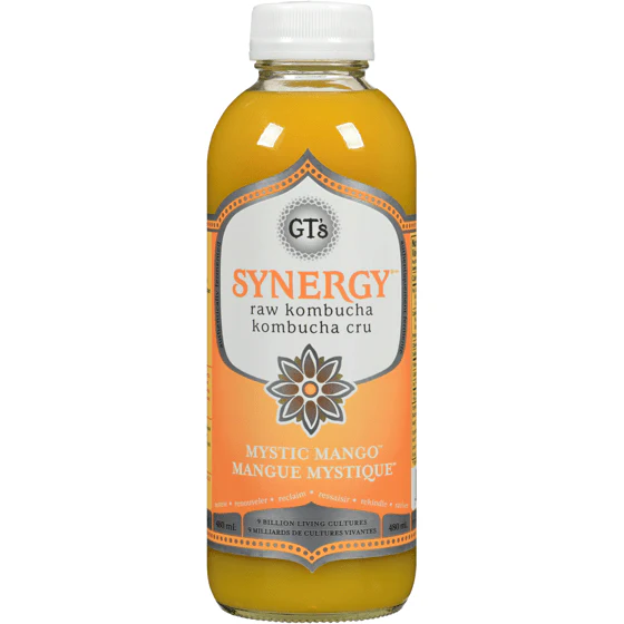 GT's Synergy Raw Kombucha 480mL, Mystic Mango