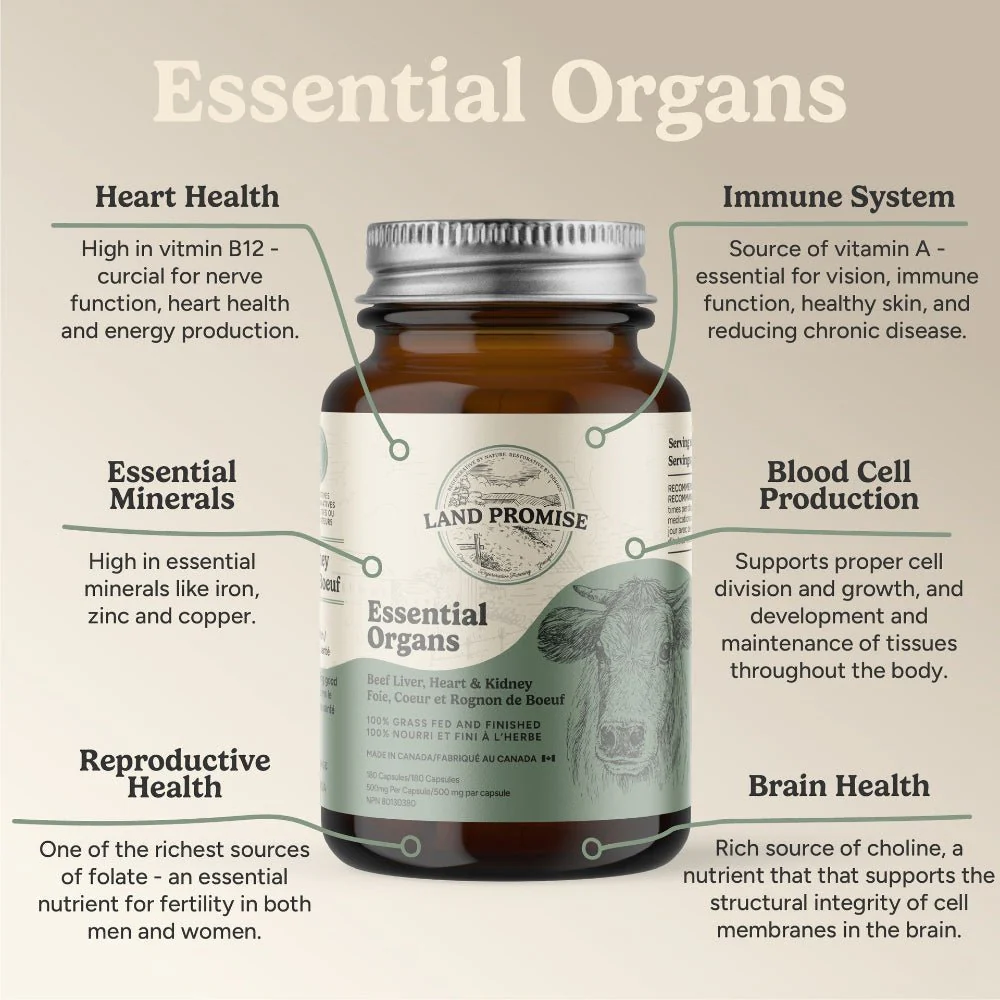 Land Promise Essential Organs 180 Capsules, Grass Fed - Image 4
