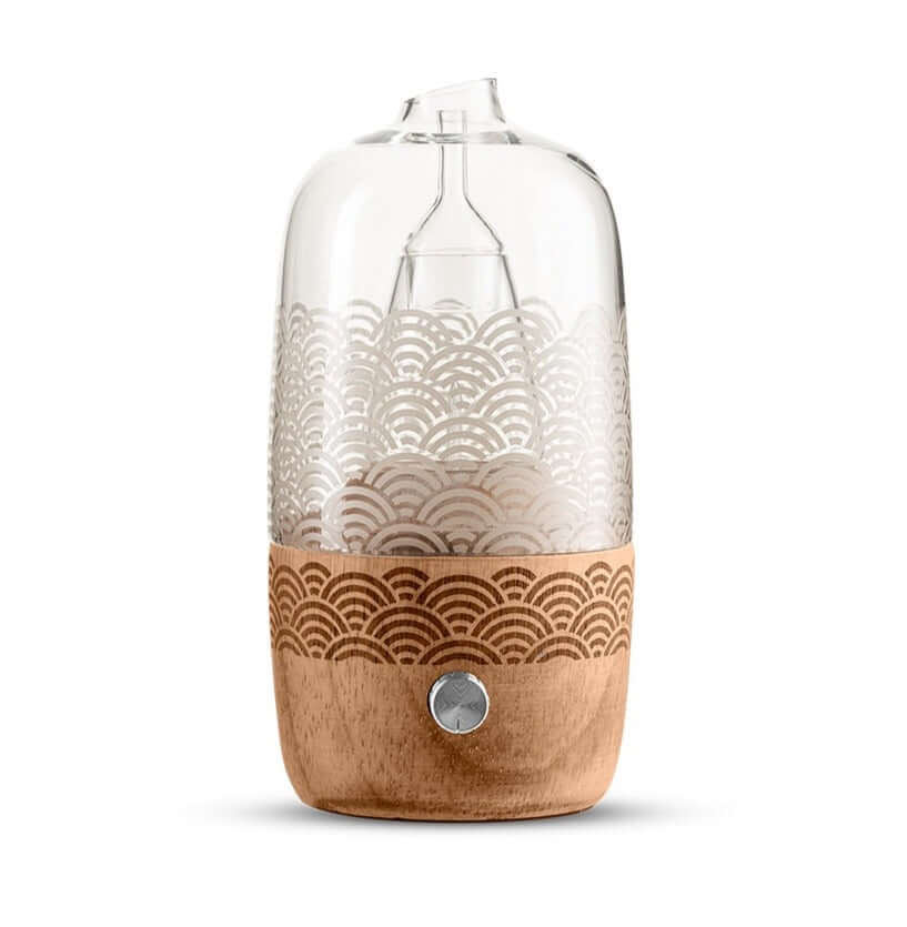 Le Comptoir Aroma Osaka Nebulizer