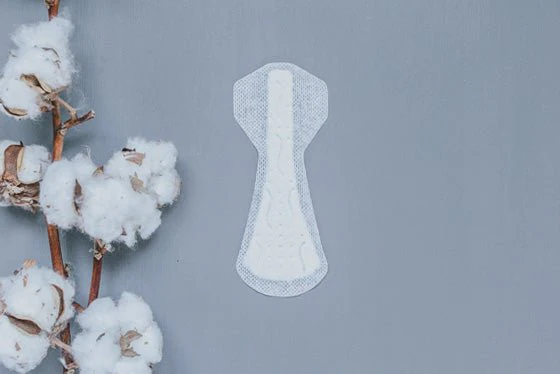 Natracare Panty Liners - Image 3