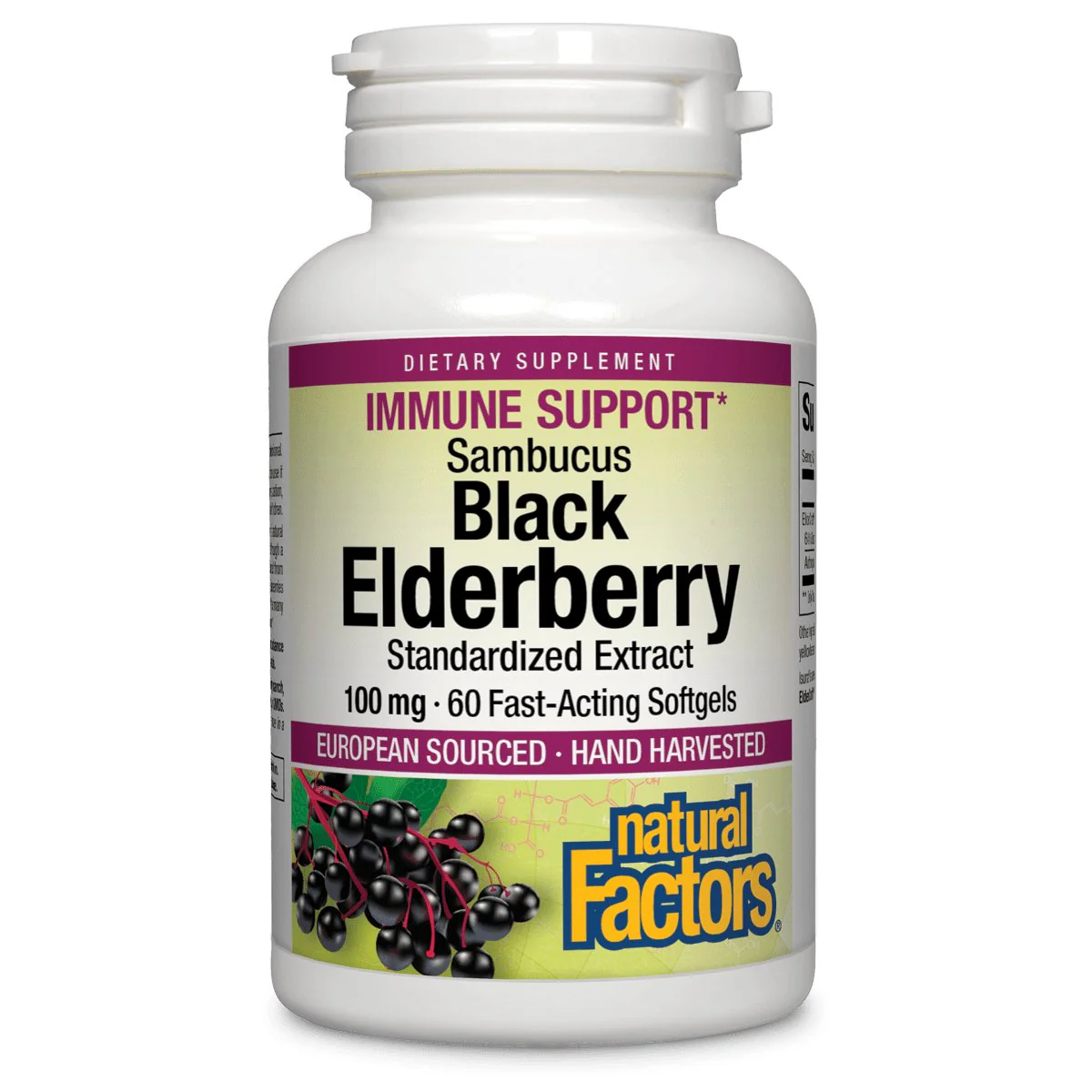 Natural Factors Black Elderberry