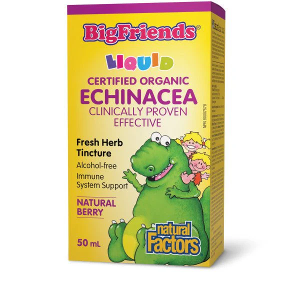 Natural Factors Echinacea Tincture, Natural Berry, Alcohol-free, 50mL