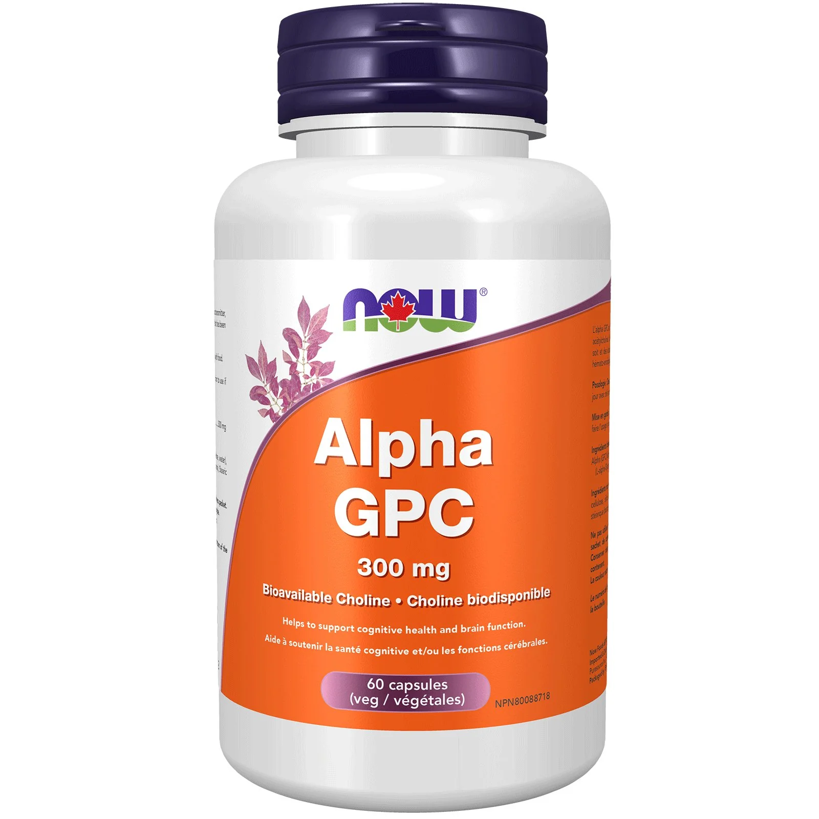 Now Alpha GPC 300mg 60 Vegetarian Capsules