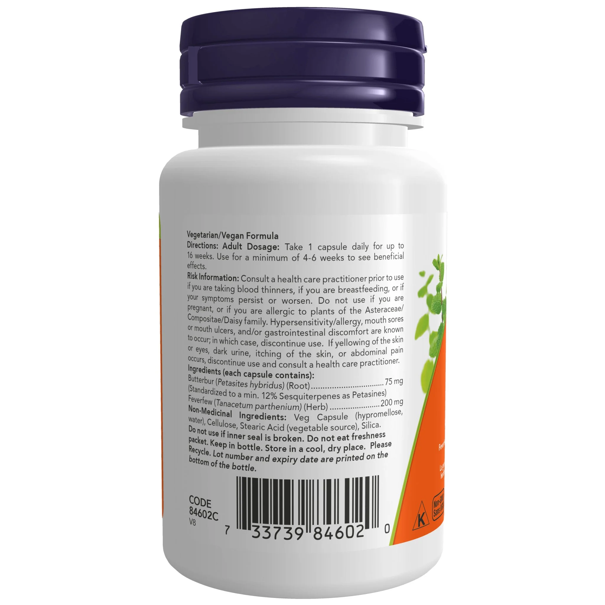 Now Butterbur Extract 75mg 60 Veg Capsules - Image 2