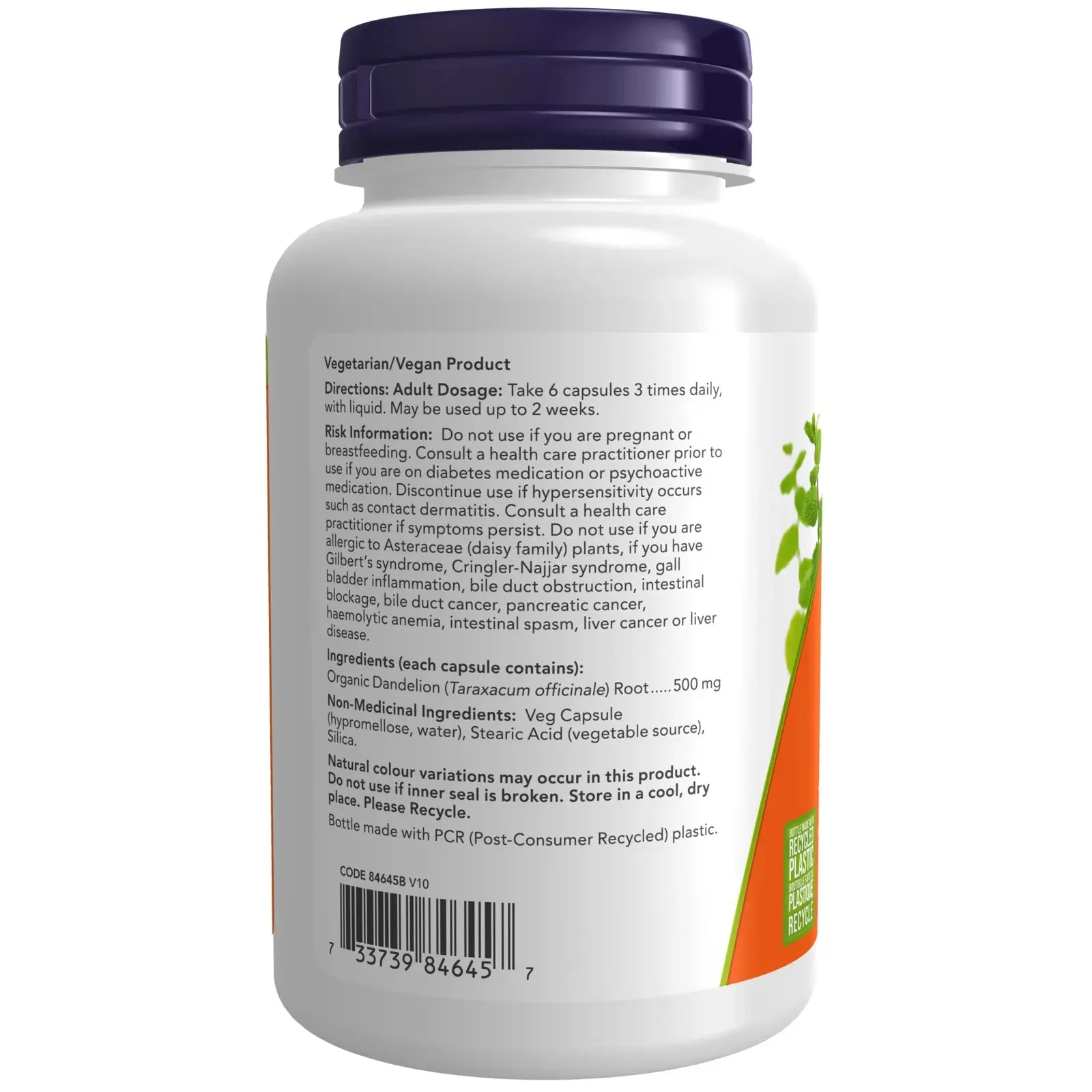 Now Dandelion Root 500mg 100 Veg Capsules - Image 2