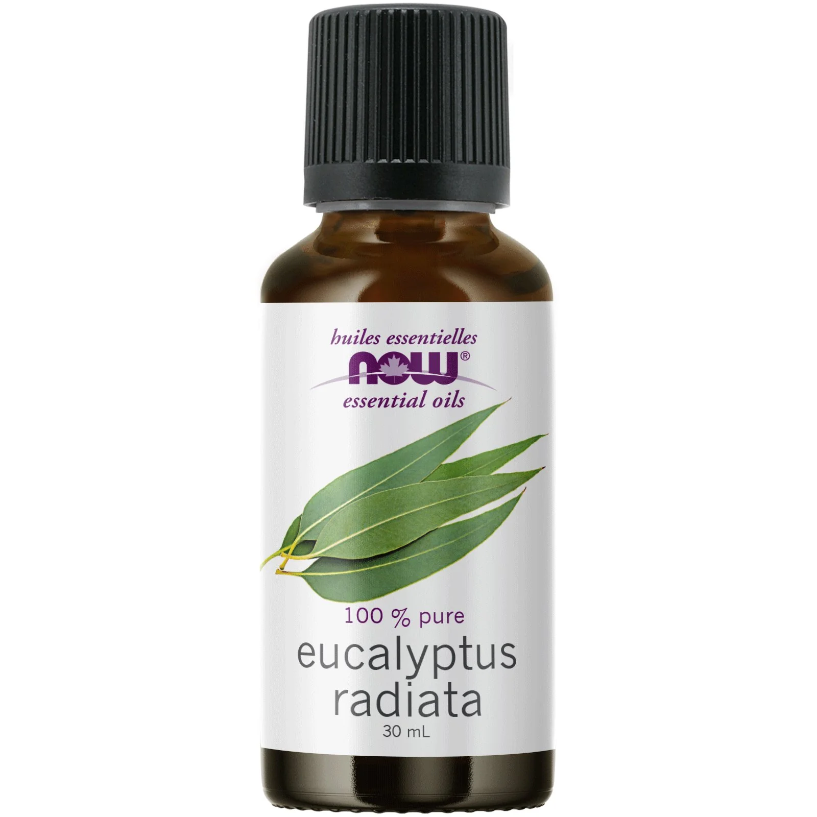 Now Eucalyptus Radiata Oil 30mL