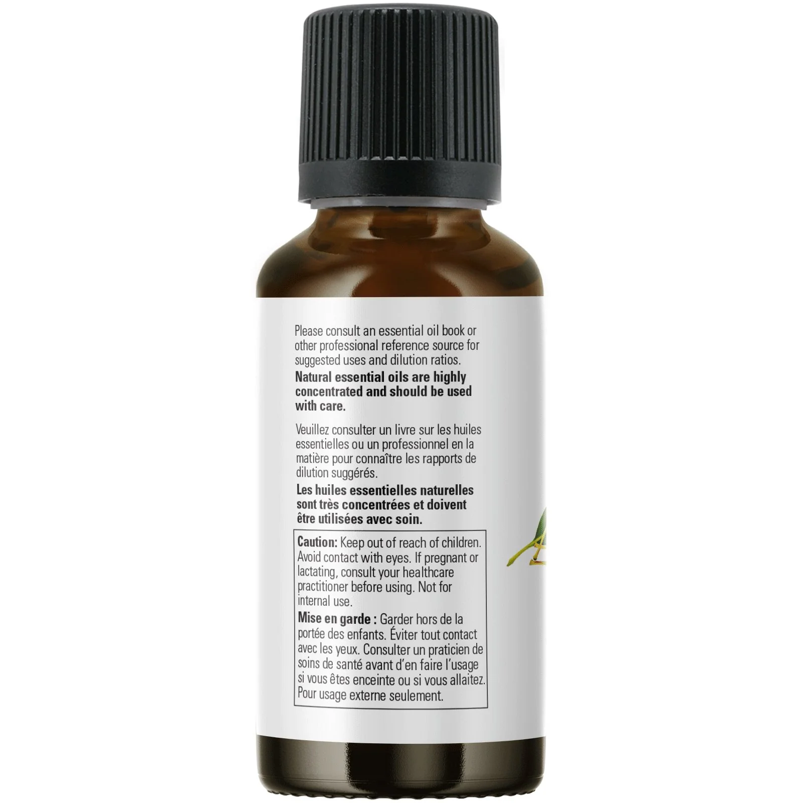 Now Eucalyptus Radiata Oil 30mL - Image 3