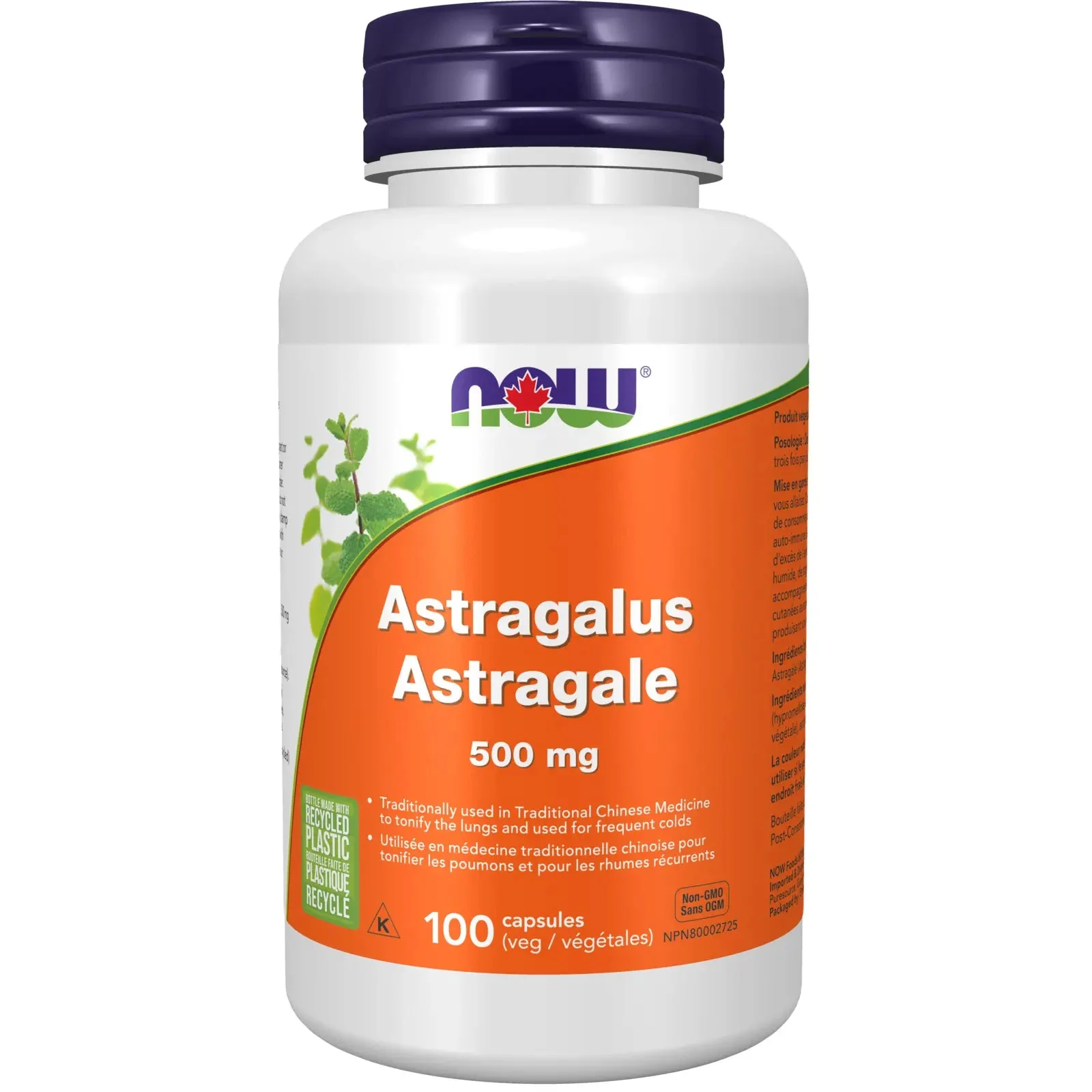 Now Astragalus 500mg 100 Veg Capsules