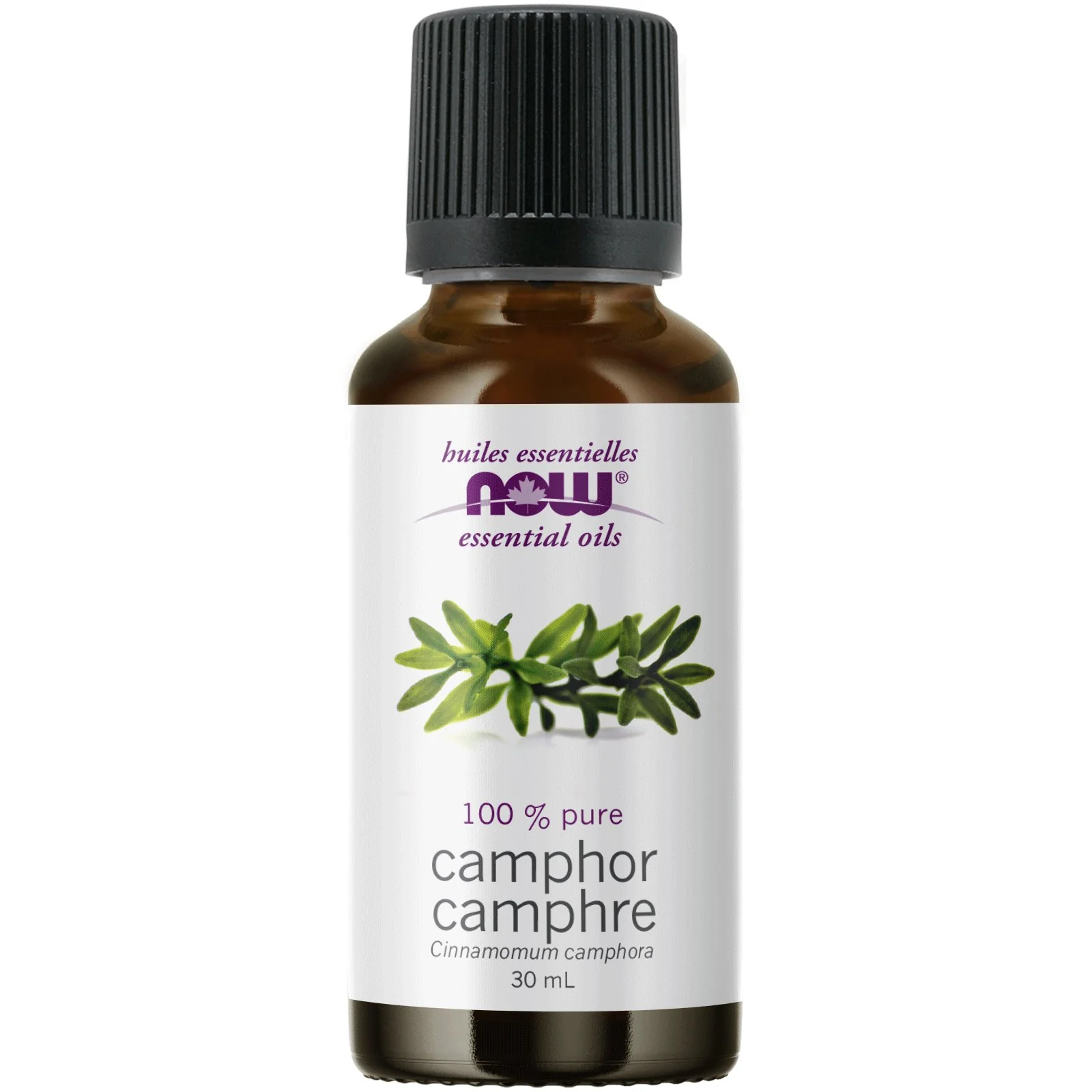 Now Camphor Oil 30mL