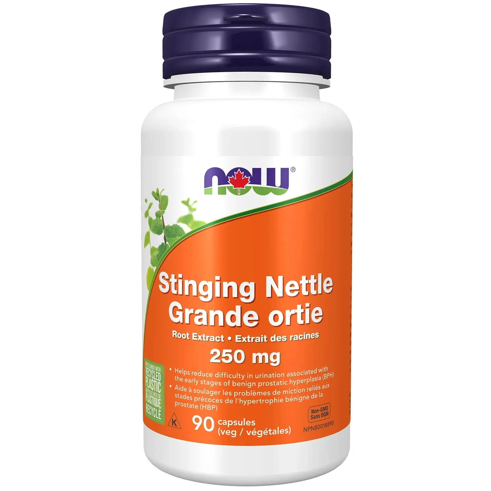 Now Stinging Nettle Root Extract 250mg 90 Veg Capsules