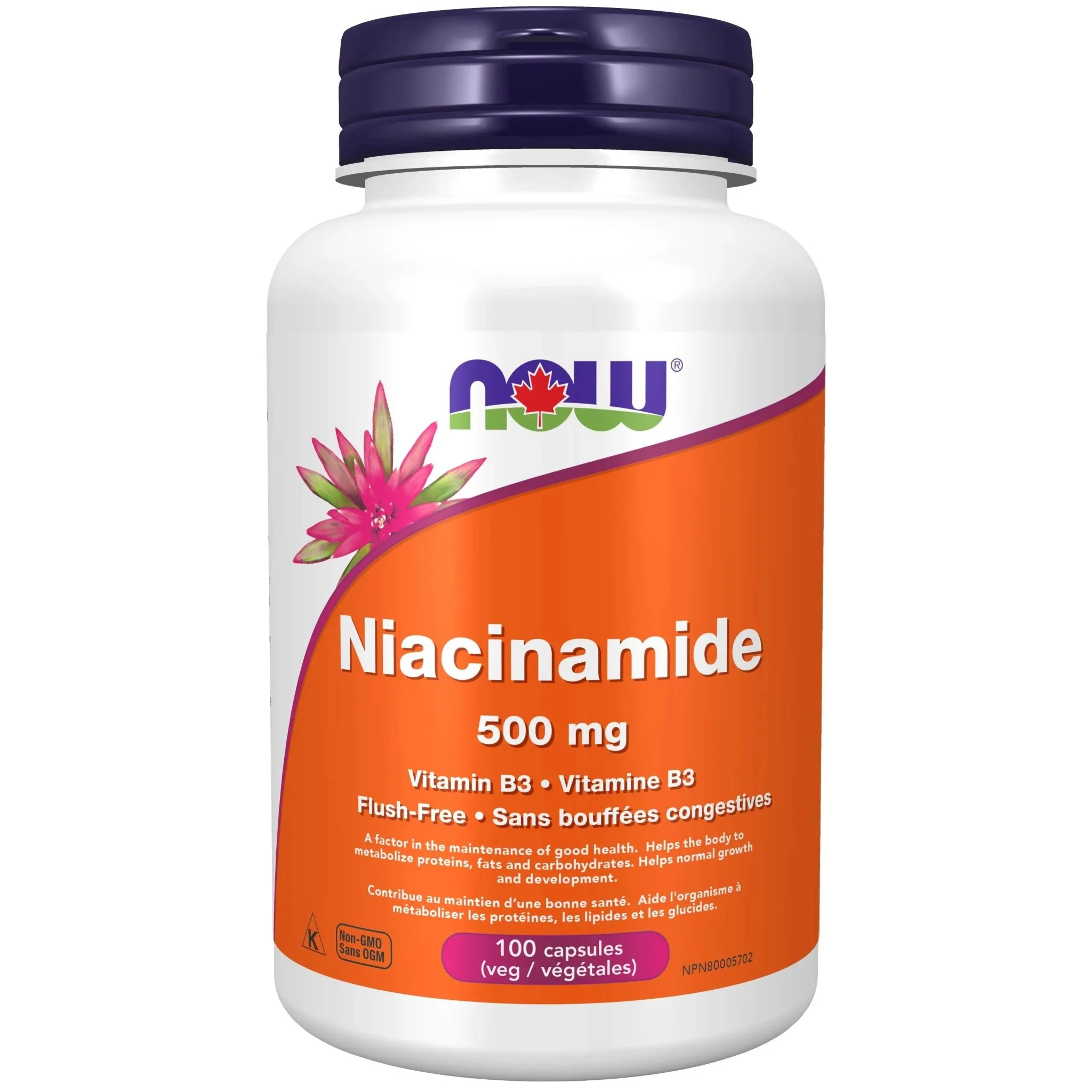 Now Niacinamide 500mg 100 Veg Capsules