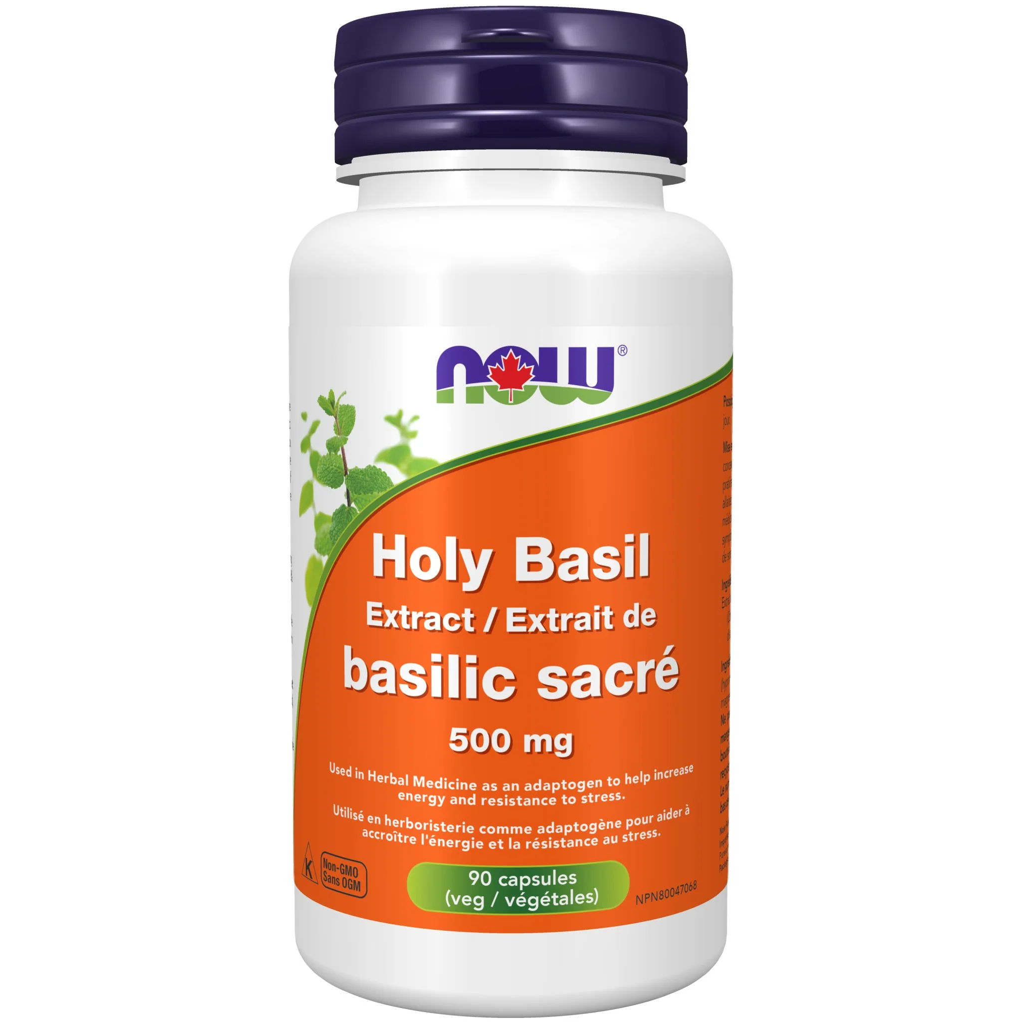 Now Holy Basil Extract 500 mg 90 Veg Capsules