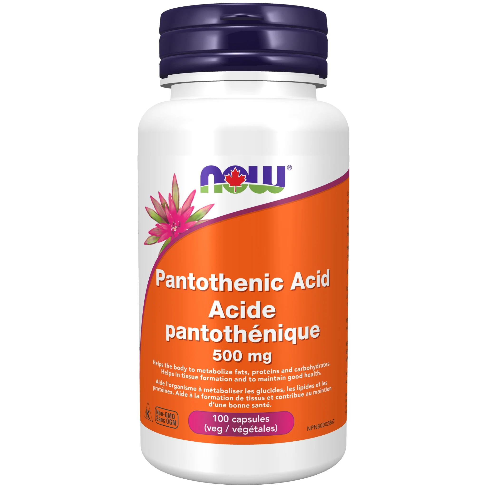 Now Pantothenic Acid 500mg 100 Veg Capsules