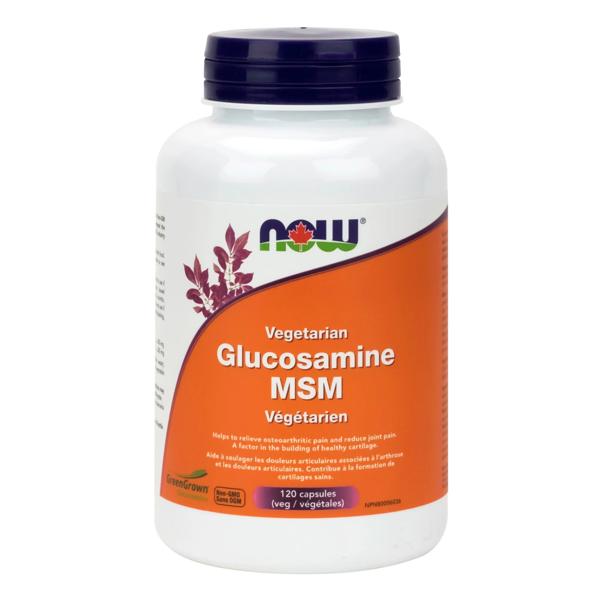 Now Vegetarian Glucosamine & MSM 120 Veg Capsules