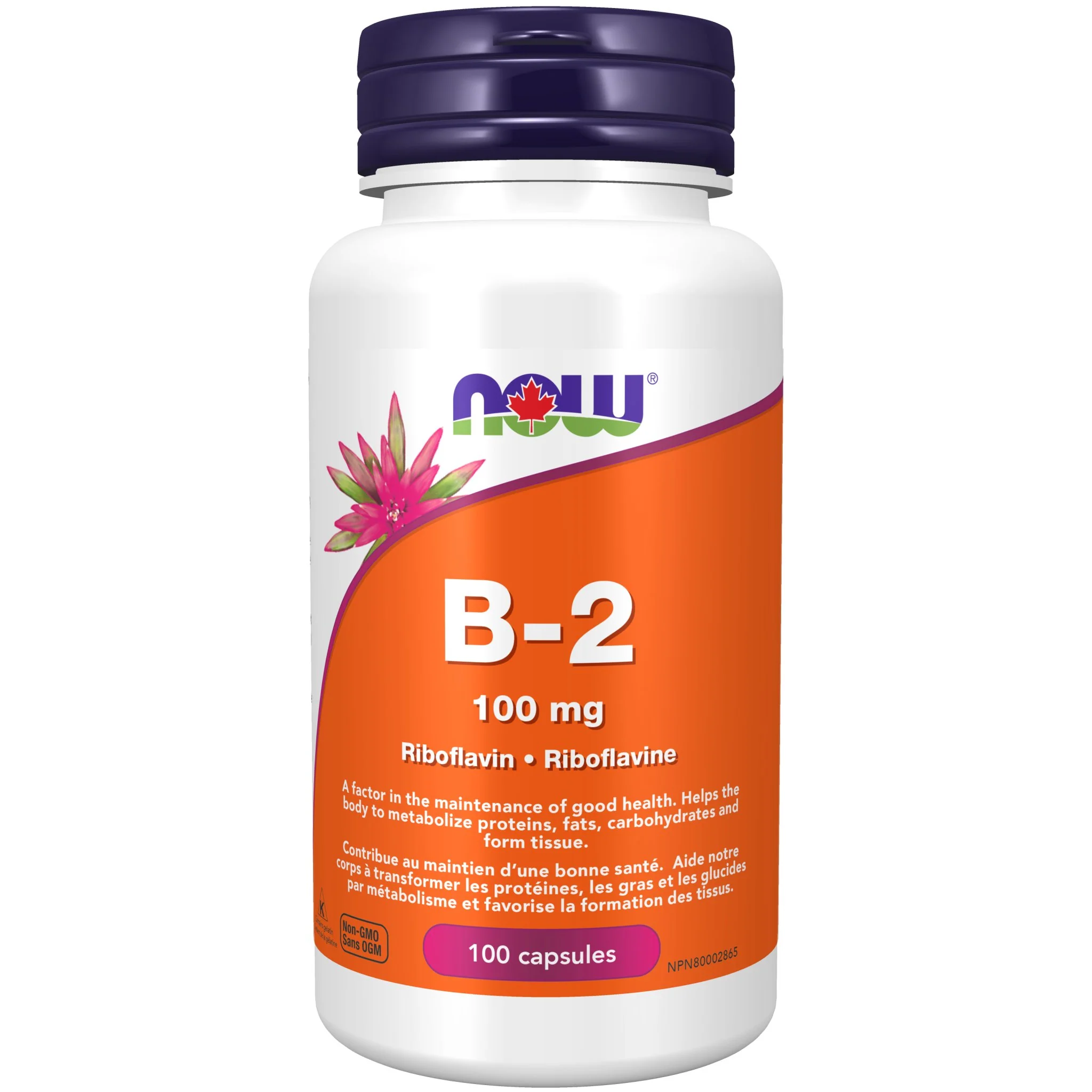 Now Vitamin B-2 100 Capsules