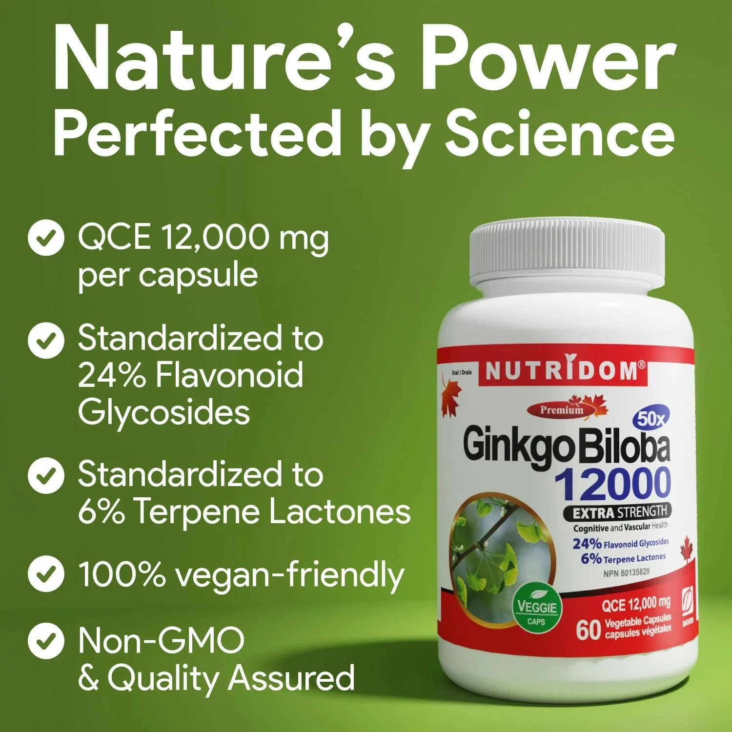 Nutridom Ginkgo Biloba 240mg 60 Veg Capsules - Image 2