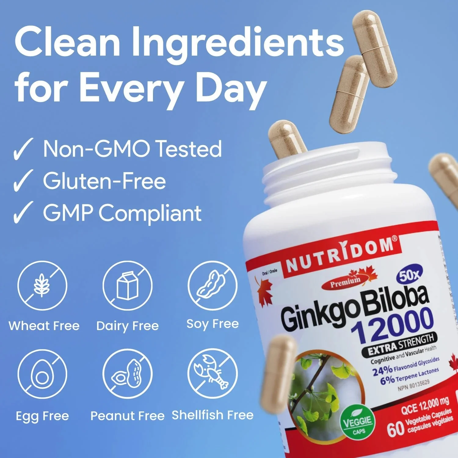 Nutridom Ginkgo Biloba 240mg 60 Veg Capsules - Image 3