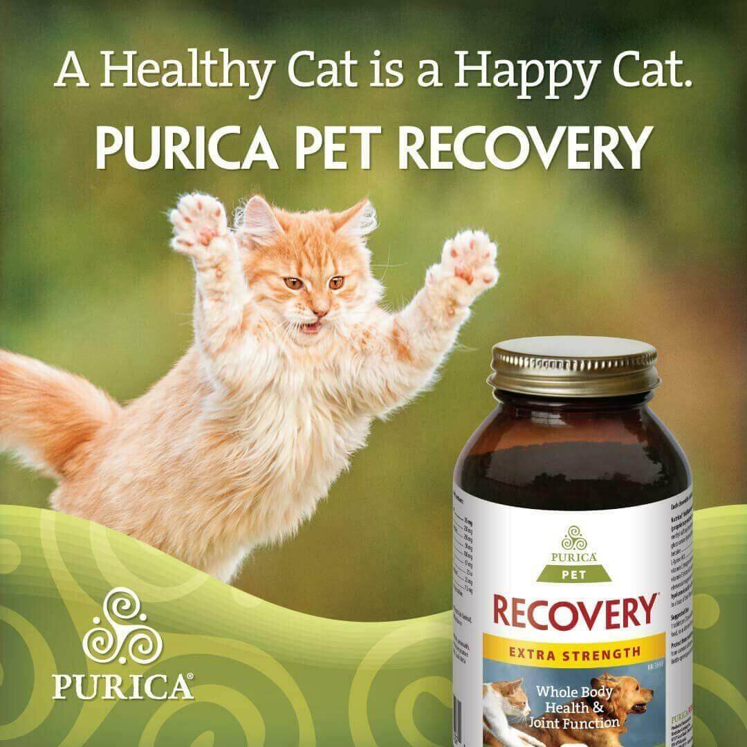 Purica Pet Recovery Extra Strength 120 Chewable Tablets - Small Animals - Image 4