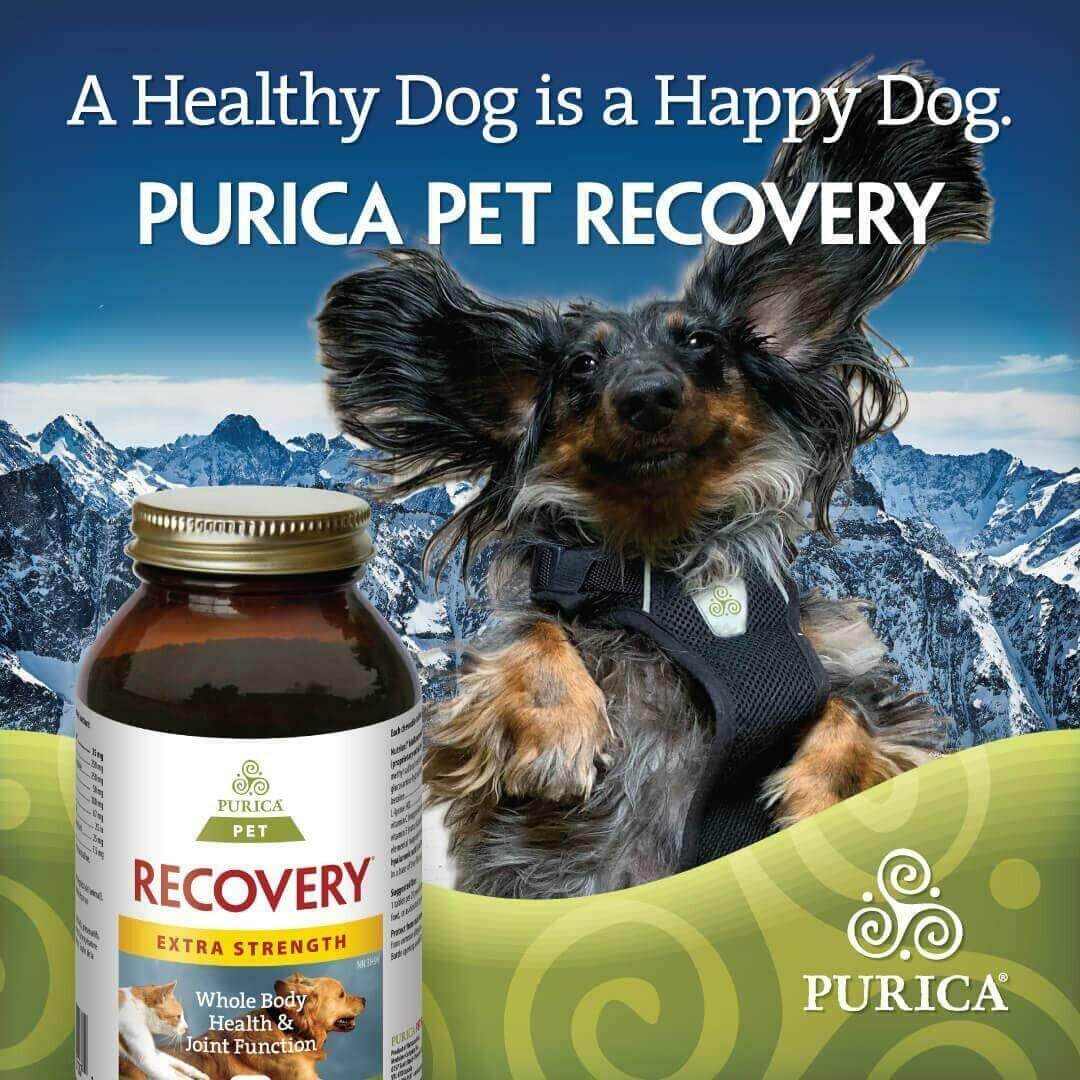 Purica Pet Recovery Extra Strength 120 Chewable Tablets - Small Animals - Image 5