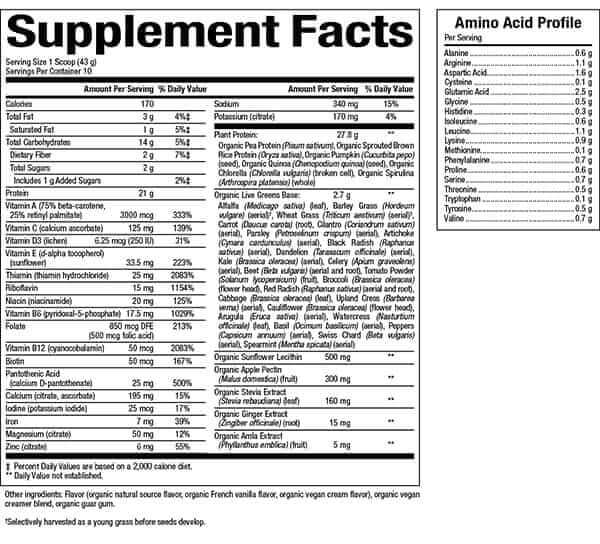 VegiDay Organic Vegan All in One Nutritional Shake - Image 5